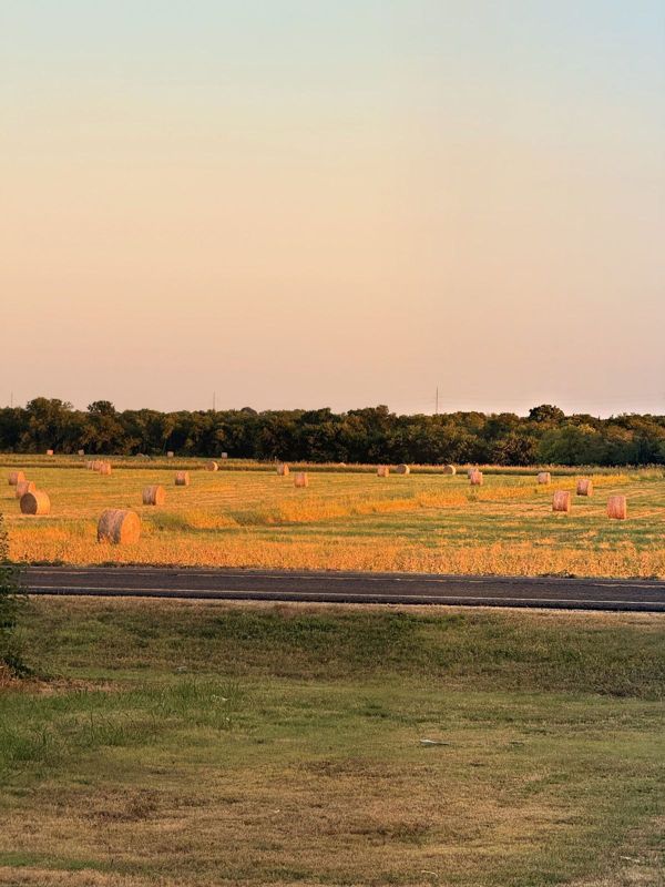 Open farmland with round hay bales at golden hour near The Waxahachie Tiny Home